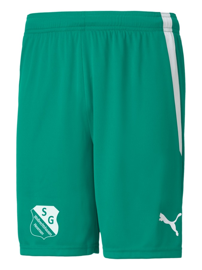 PUMA teamLIGA Shorts