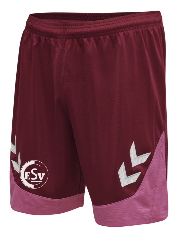 Hummel Lead Trainingsshorts