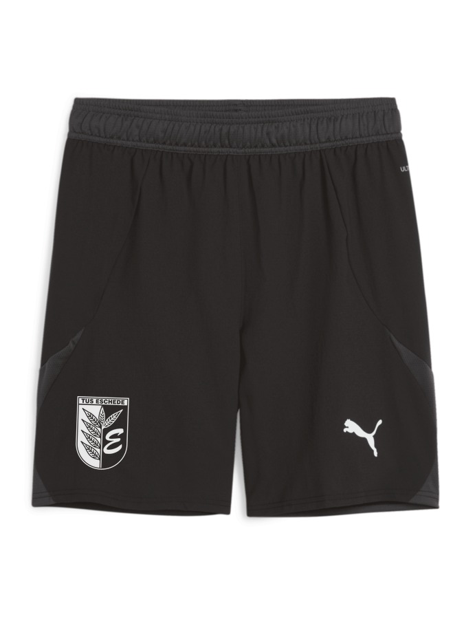 PUMA teamFINAL Shorts