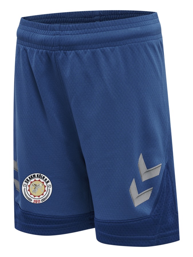 Hummel Lead Trainingsshorts