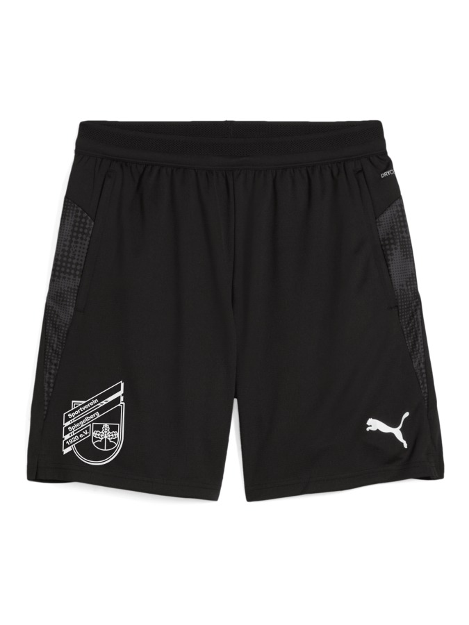 PUMA teamCUP Training Shorts