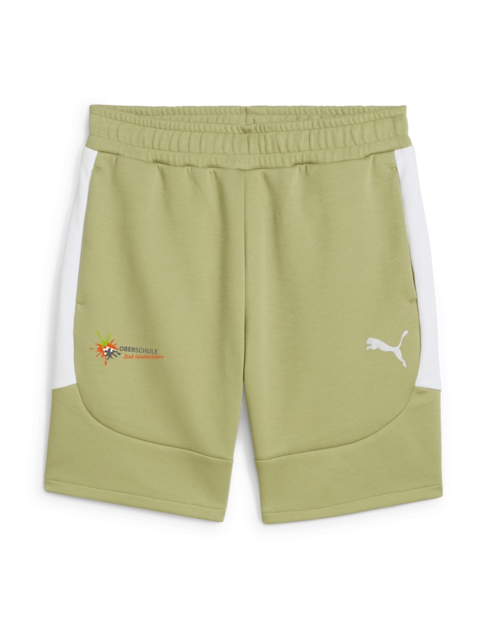 PUMA teamEVOSTRIPE Shorts