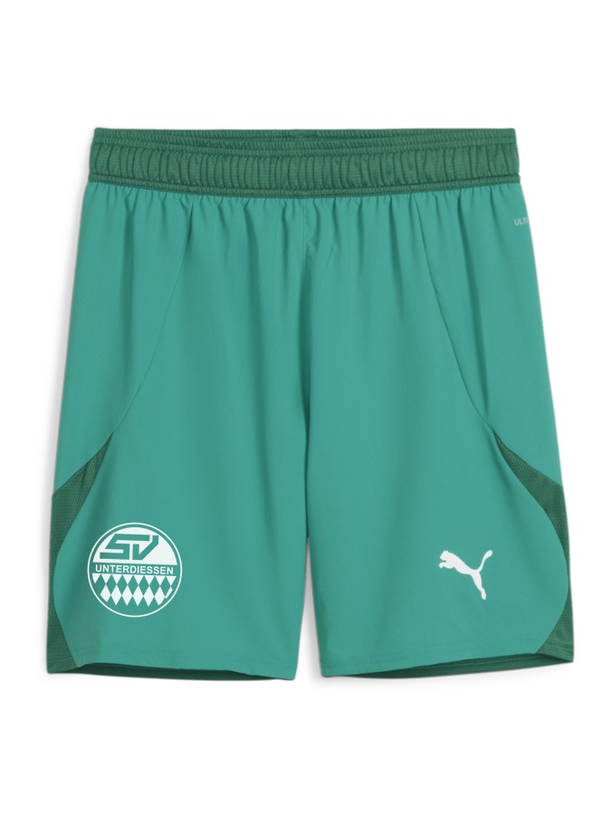PUMA teamFINAL Shorts