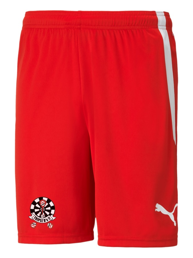 PUMA teamLIGA Shorts