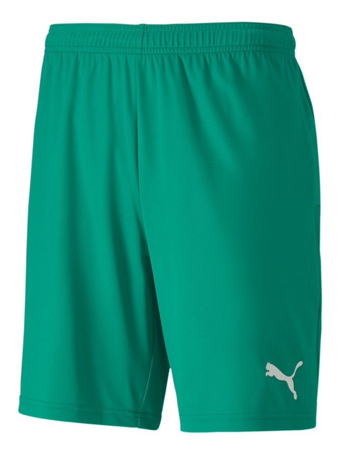 PUMA teamGOAL 23 Knit Shorts