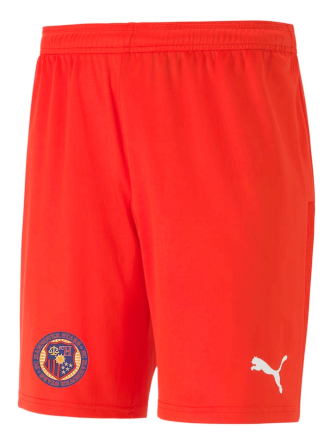 PUMA teamGOAL 23 Knit Shorts