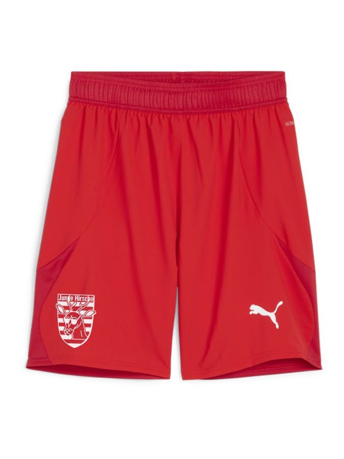PUMA teamFINAL Shorts