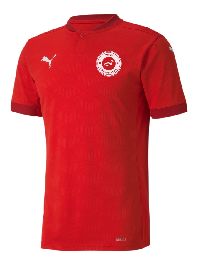 PUMA teamFINAL 21 Trikot