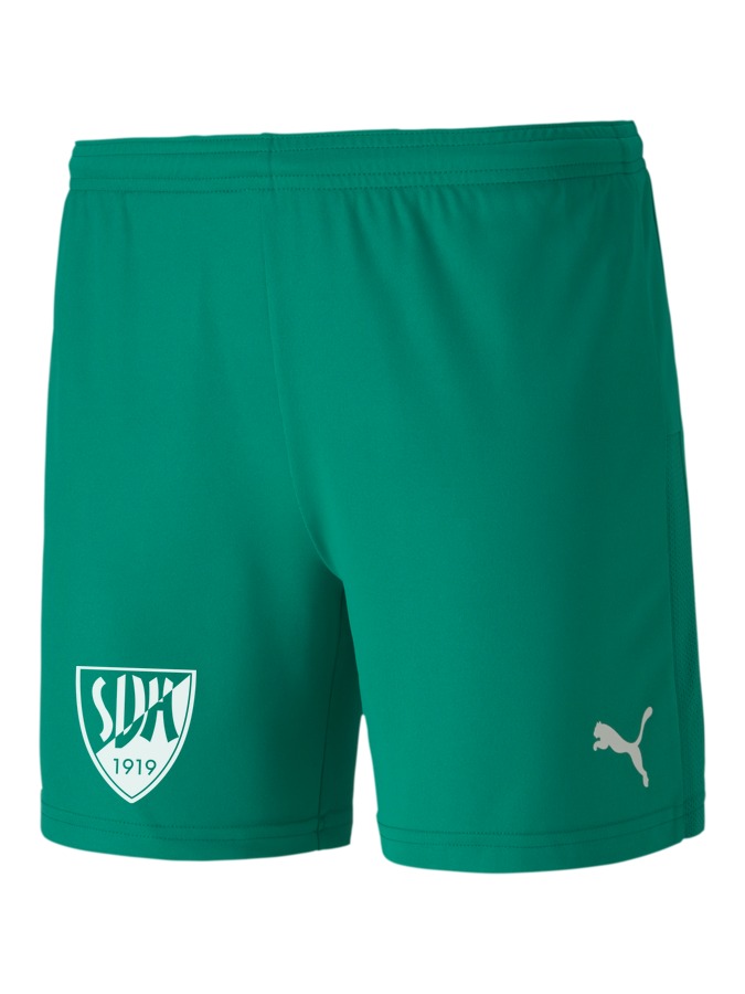 PUMA teamGOAL 23 Knit Shorts Damen
