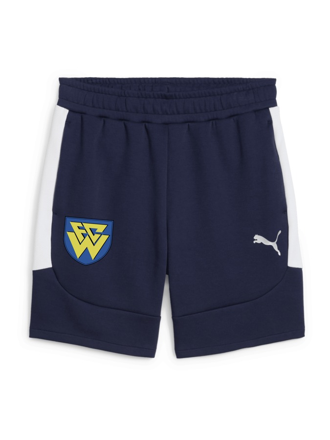 PUMA teamEVOSTRIPE Shorts