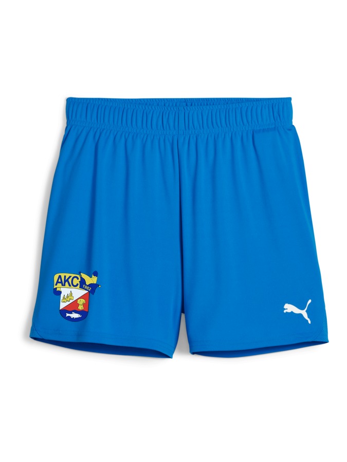 PUMA teamGOAL Handballshorts Damen