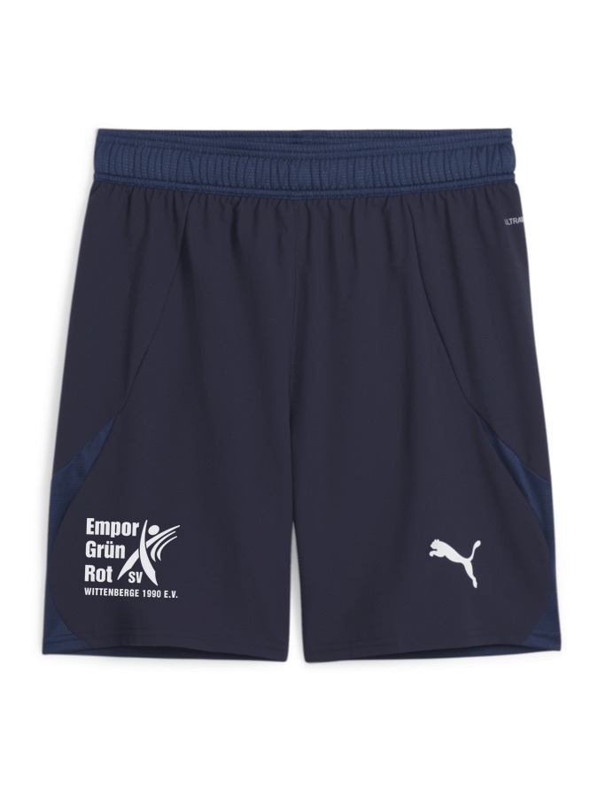 PUMA teamFINAL Shorts