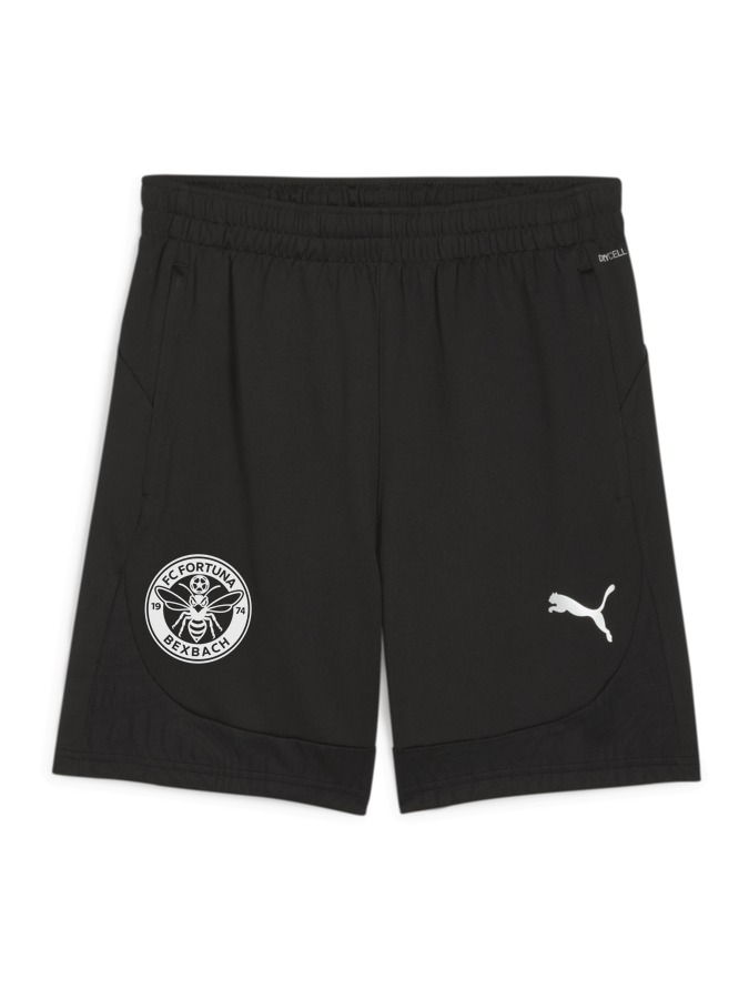 PUMA teamFINAL Training Shorts