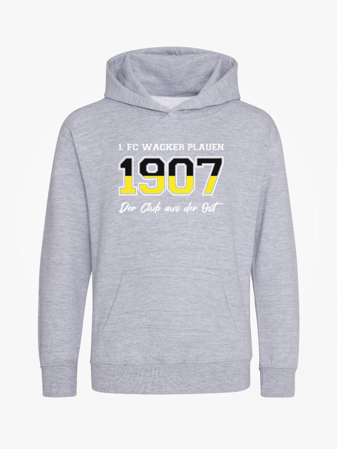 Hoodie Established Kids
