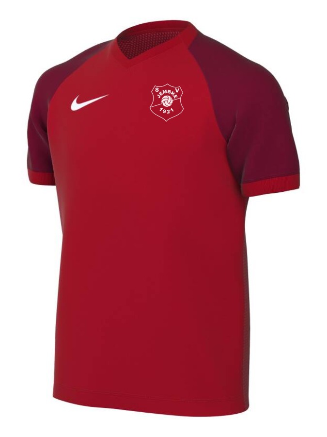 Nike Trophy VI Trikot Kinder