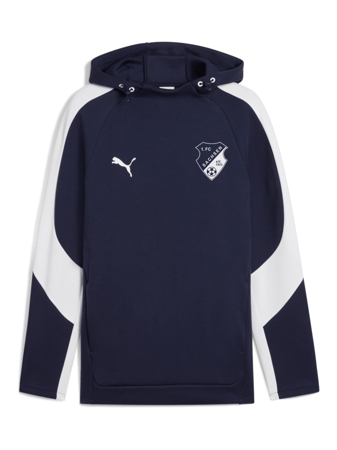 PUMA teamEVOSTRIPE Hoody