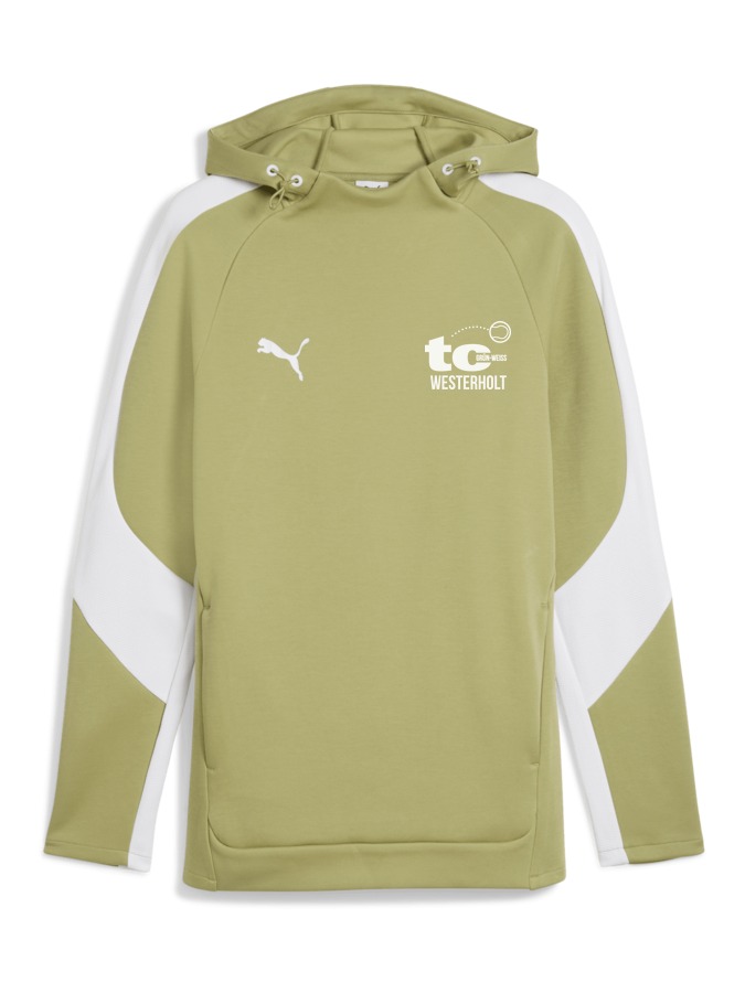 PUMA teamEVOSTRIPE Hoody