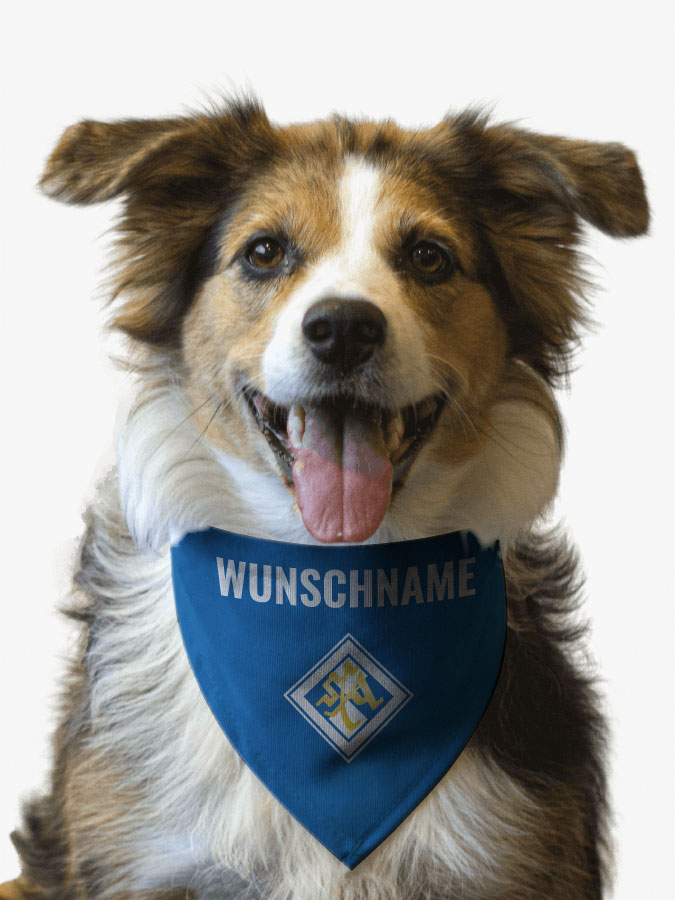 Hundehalstuch