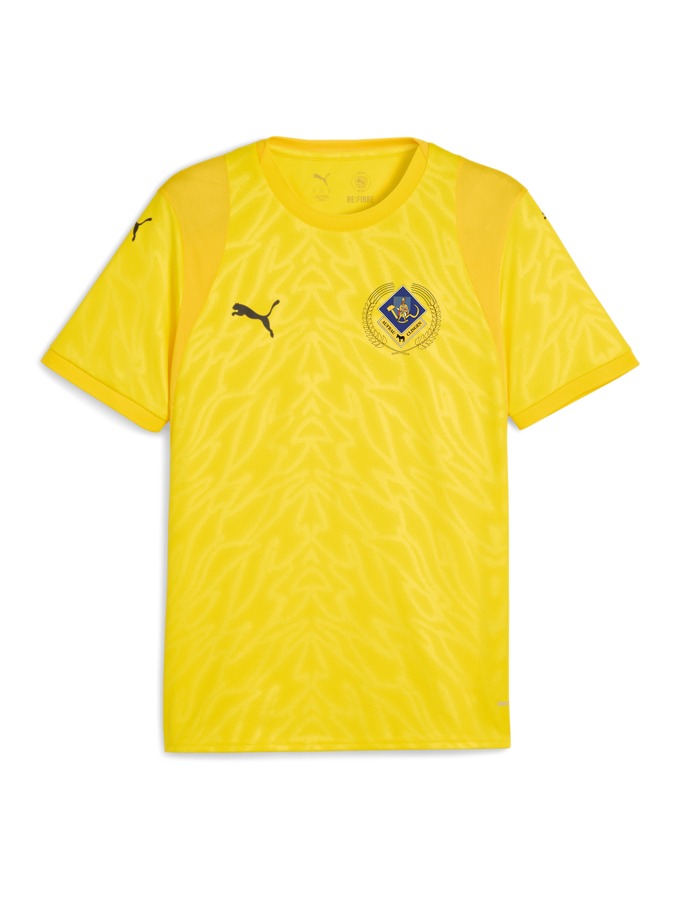 PUMA teamCUP Trikot