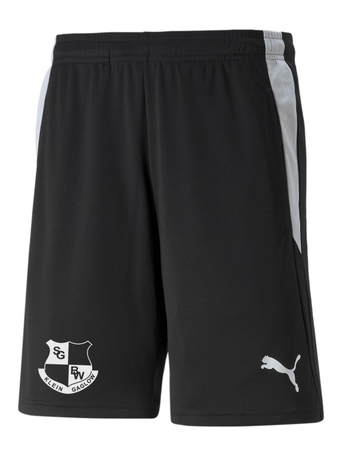 PUMA teamLIGA Referee Shorts