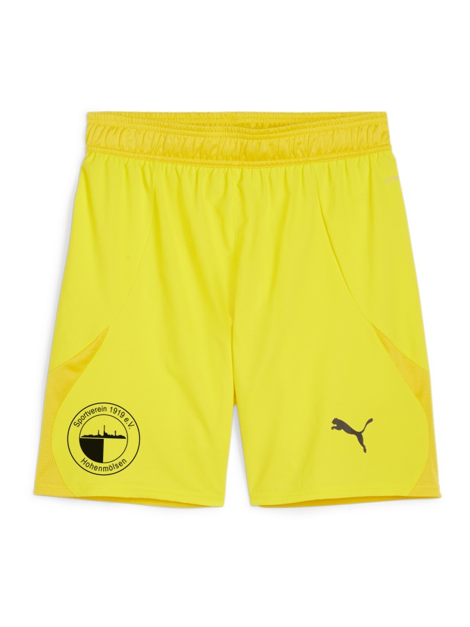 PUMA teamFINAL Shorts