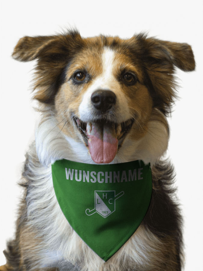 Hundehalstuch