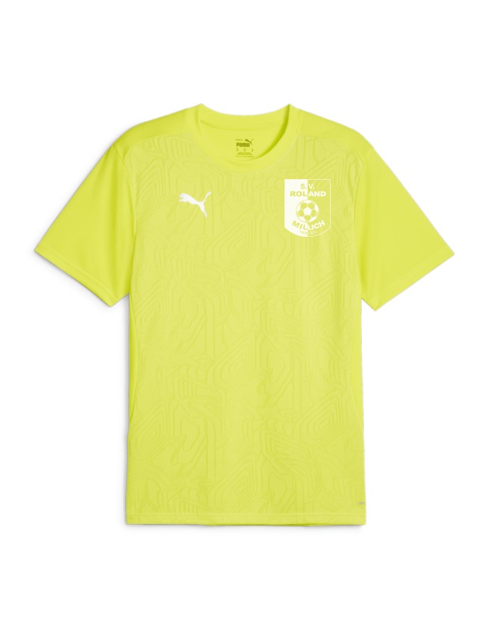 PUMA teamFINAL Trainingsshirt