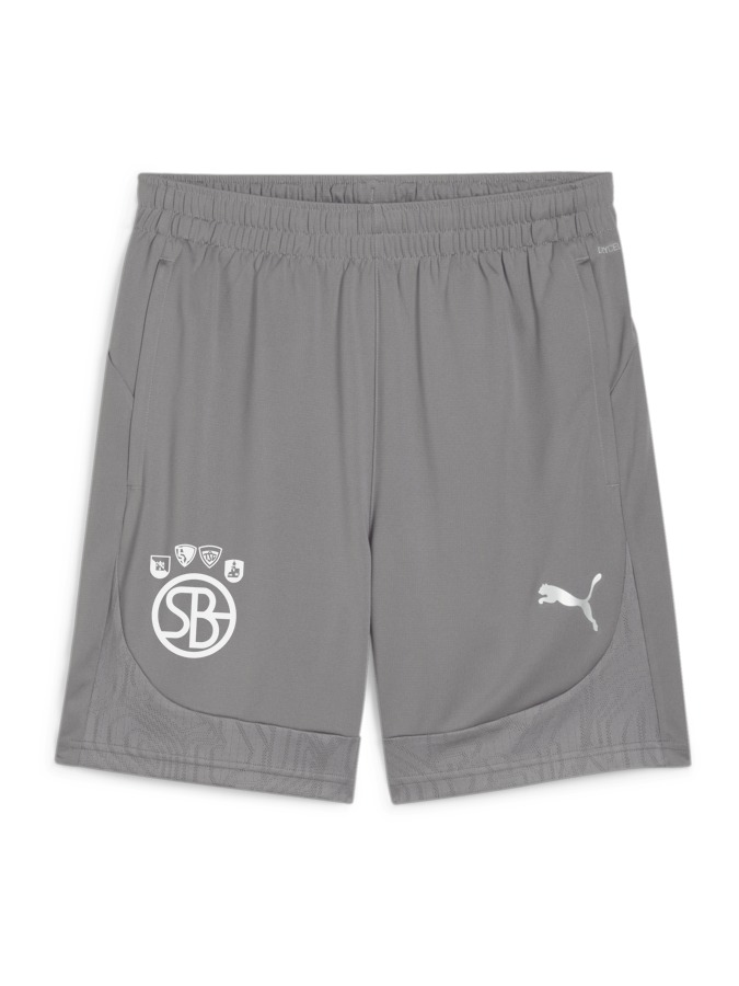 PUMA teamFINAL Training Shorts