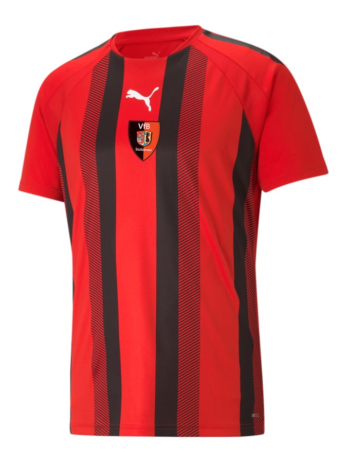PUMA teamLIGA Striped Trikot