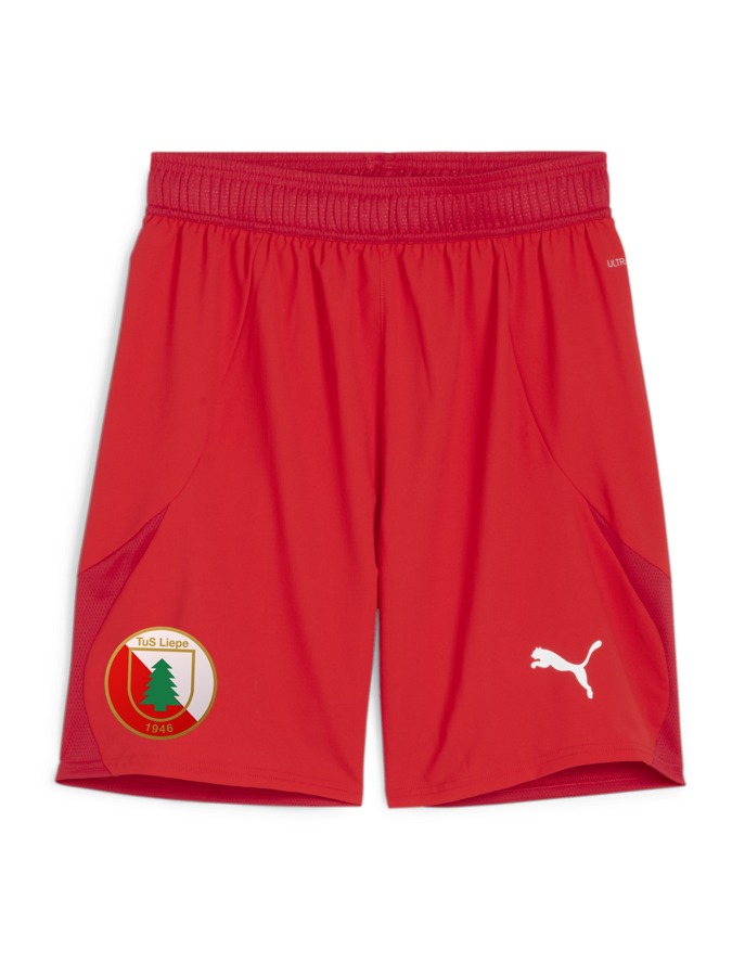 PUMA teamFINAL Shorts