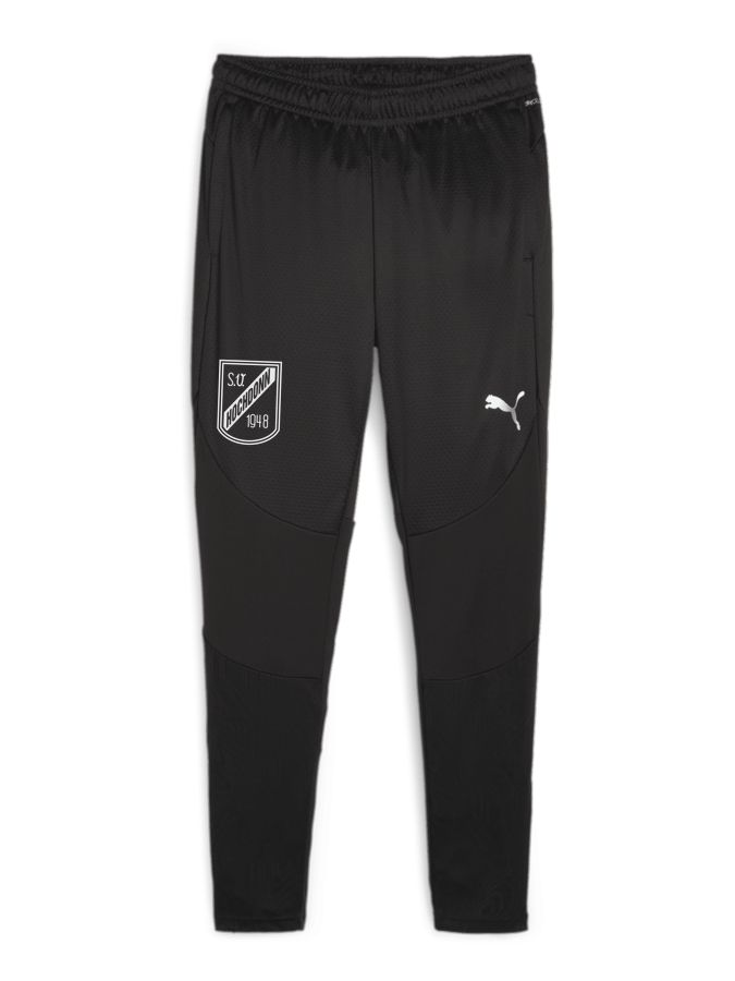 PUMA teamFINAL Trainingshose