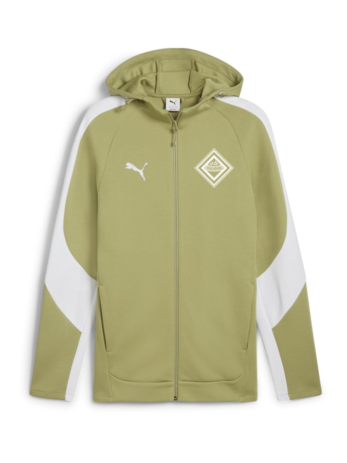 PUMA teamEVOSTRIPE Kapuzenjacke