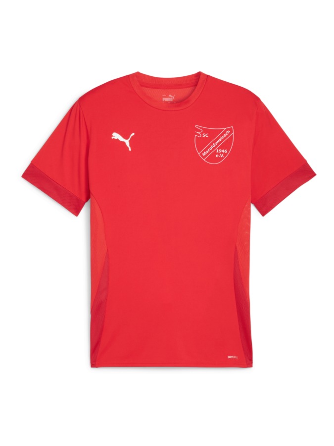 PUMA teamGOAL Matchday Trikot