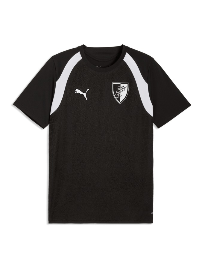 PUMA teamFINAL26 Trainingsshirt