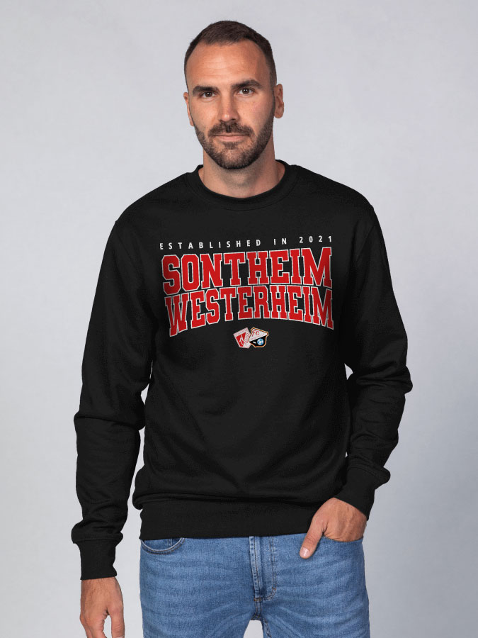 Sweater Retro Herren