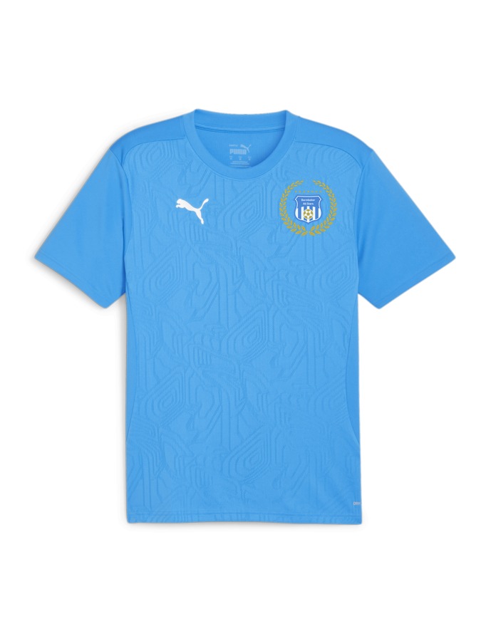 PUMA teamFINAL Trainingsshirt