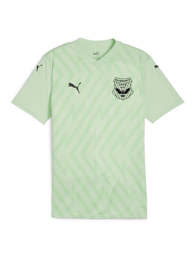 PUMA teamGLORY Trikot