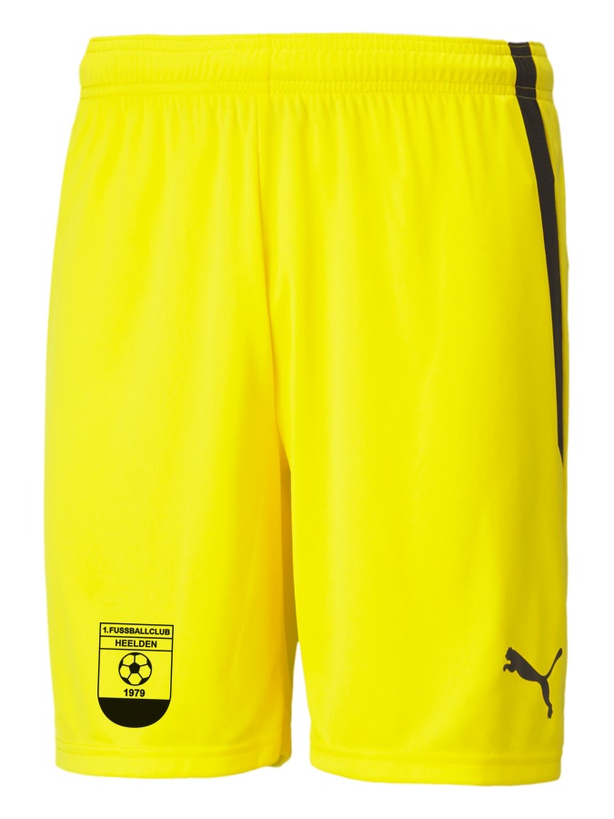 PUMA teamLIGA Shorts