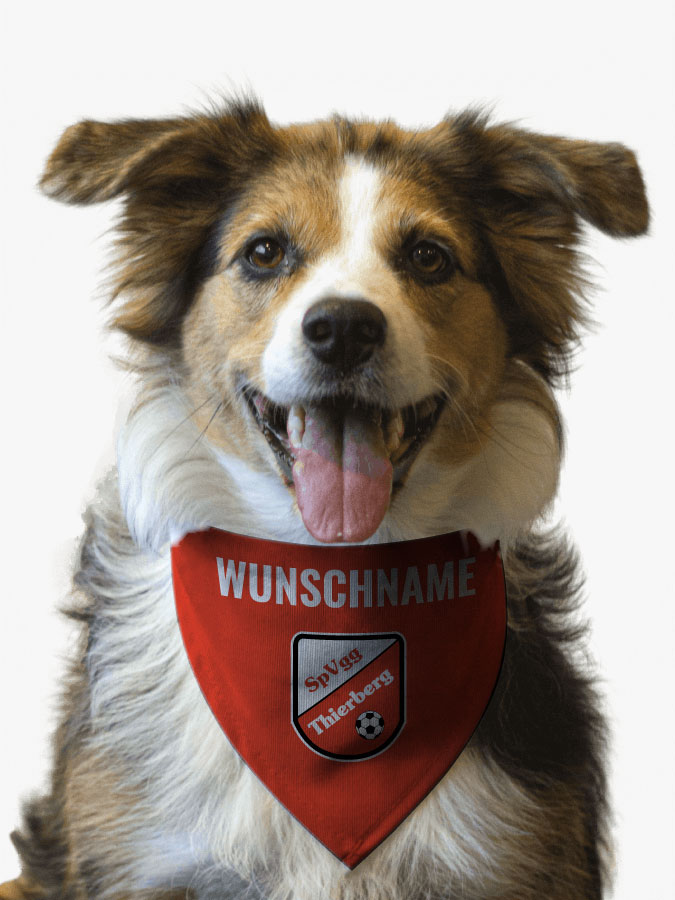 Hundehalstuch