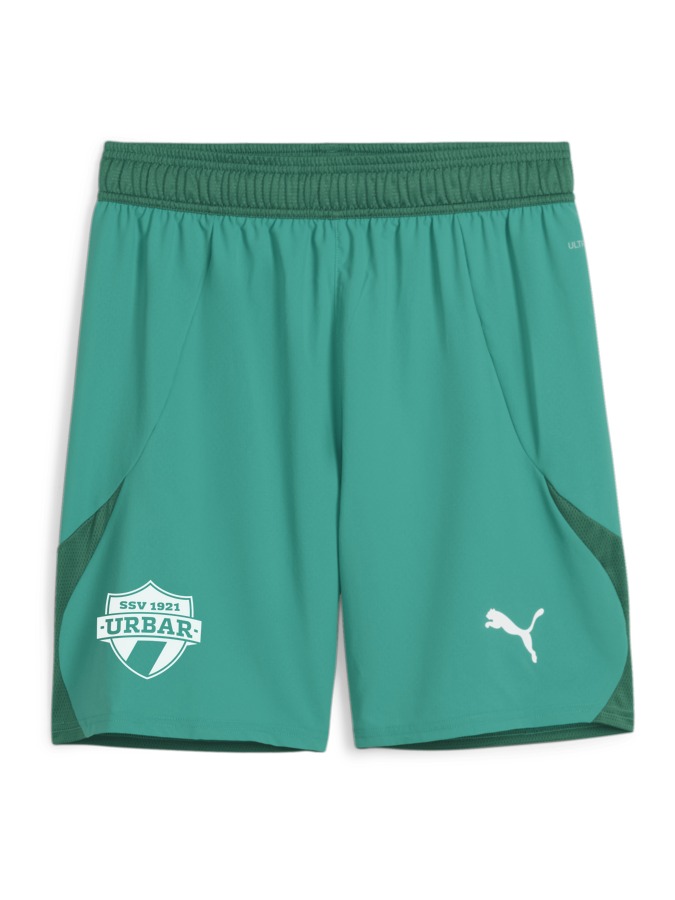PUMA teamFINAL Shorts