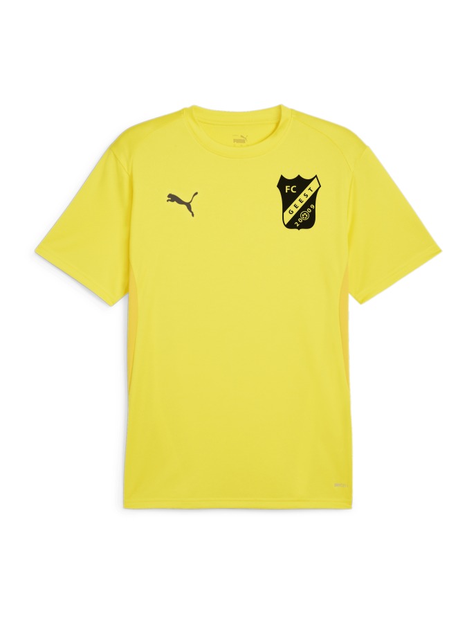 PUMA teamGOAL Trikot