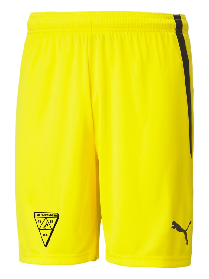PUMA teamLIGA Shorts