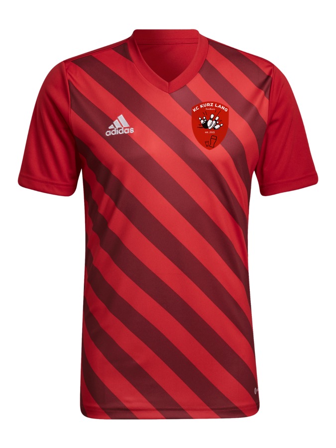 adidas Entrada 22 GFX Trikot