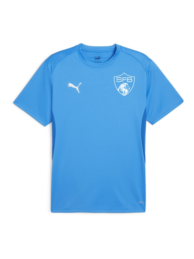 PUMA teamGOAL Trikot