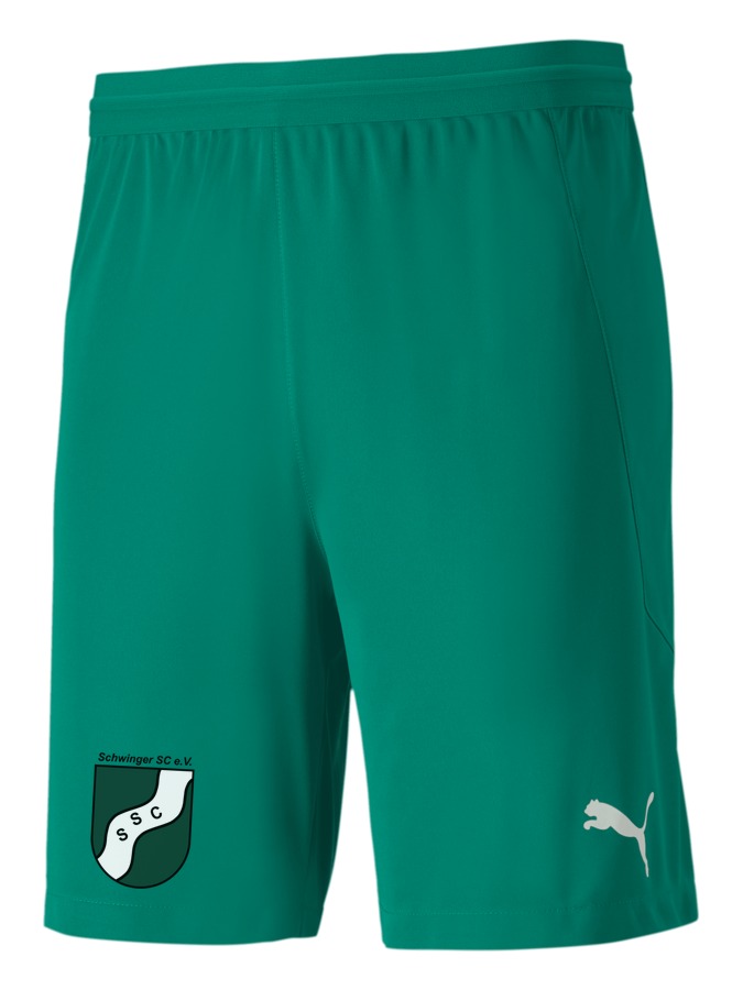 PUMA teamFINAL 21 Knit Shorts