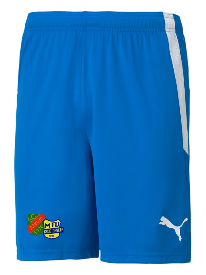 PUMA teamLIGA Shorts