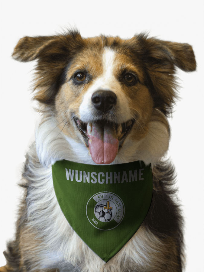 Hundehalstuch