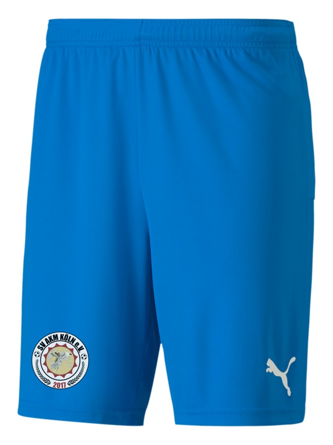 PUMA teamGOAL 23 Knit Shorts