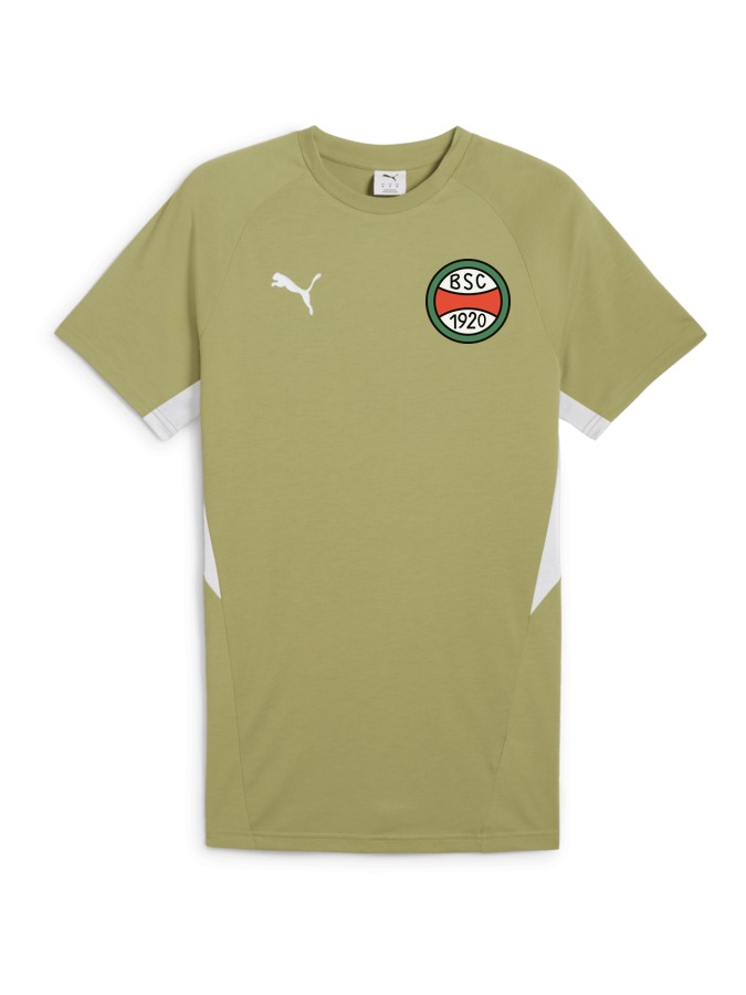 PUMA teamEVOSTRIPE T-Shirt