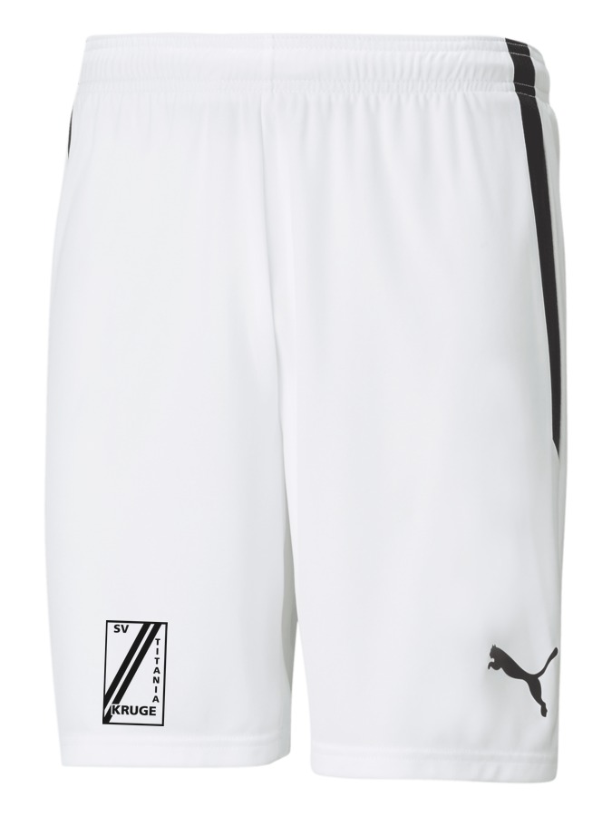 PUMA teamLIGA Shorts